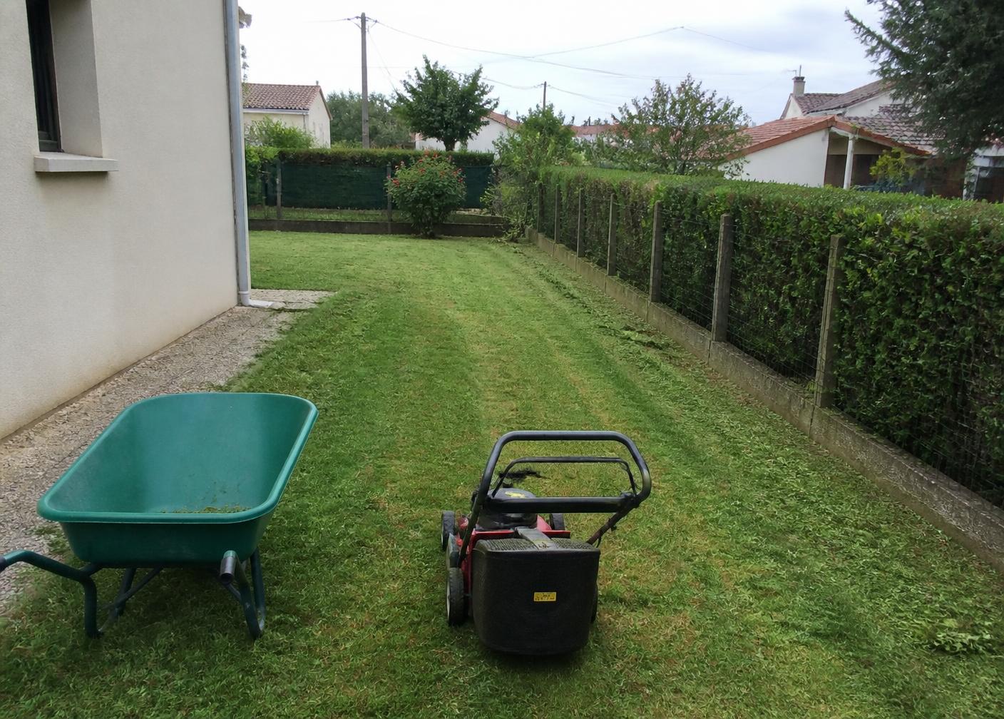 Jardin de particulier entretenu : pelouse fraîchement tondue et haie taillée au carré face aux montagnes